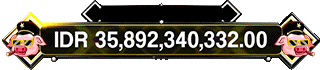 HOKI555